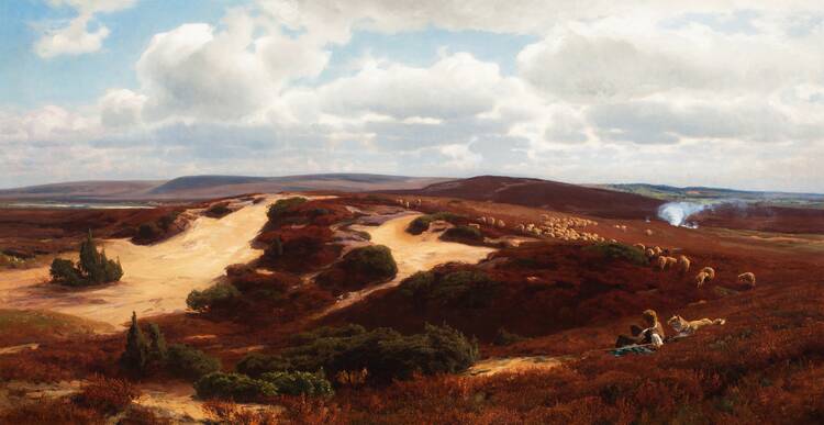 Die Entdeckung der Heide
